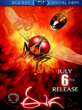   turbobit  / Eega (2012)