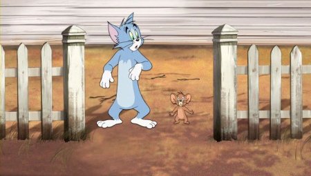   turbobit    / Tom and Jerry