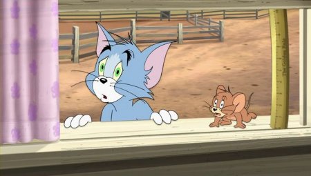   turbobit    / Tom and Jerry