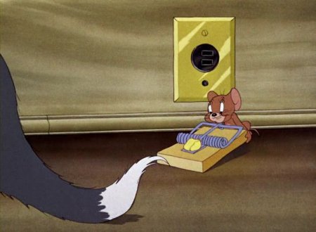   turbobit    / Tom and Jerry