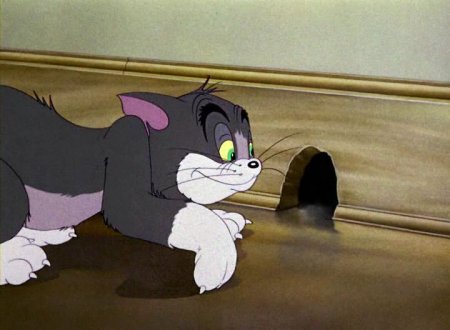   turbobit    / Tom and Jerry