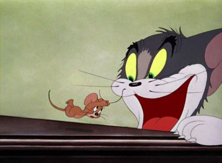   turbobit    / Tom and Jerry