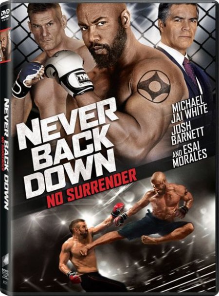   turbobit    3 / Never Back Down: No Surrender (2016)