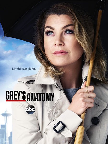   turbobit   /   / Greys Anatomy - 13  (2016)