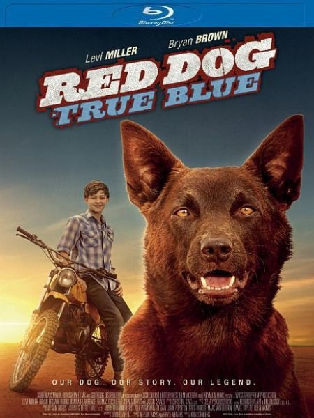   turbobit :   / Red Dog: True Blue (2016)