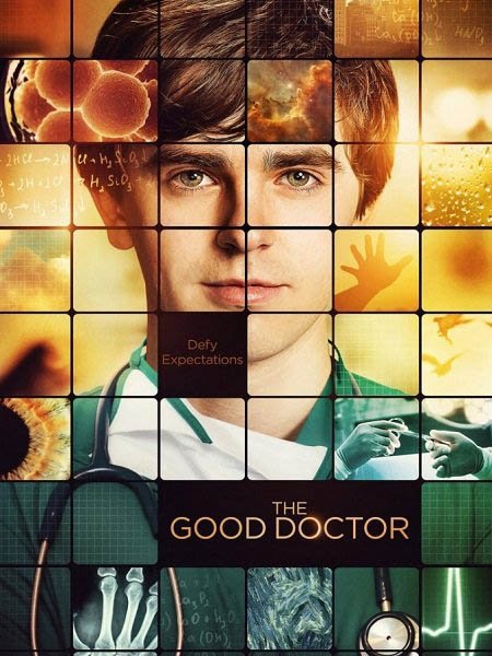  turbobit   / The Good Doctor - 1  (2017)