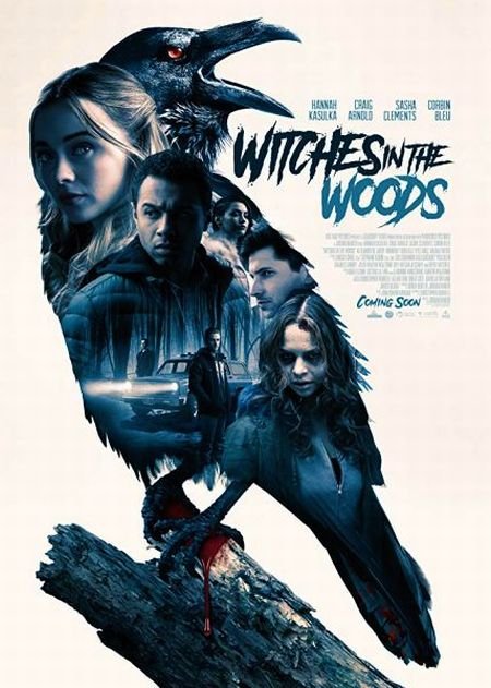   turbobit    / Witches in the Woods (2019)