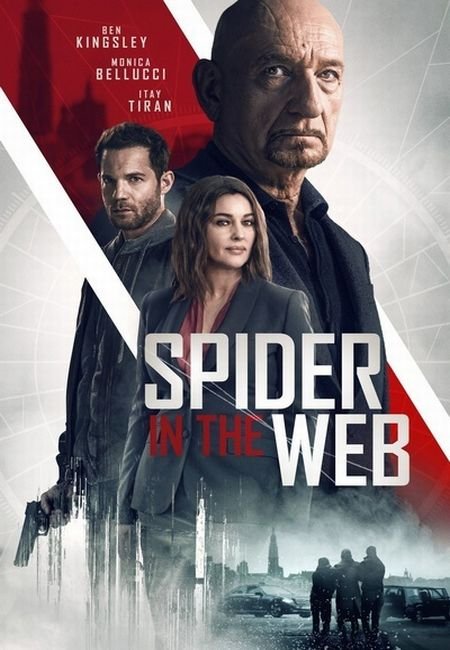   turbobit    /    / Spider in the Web (2019)