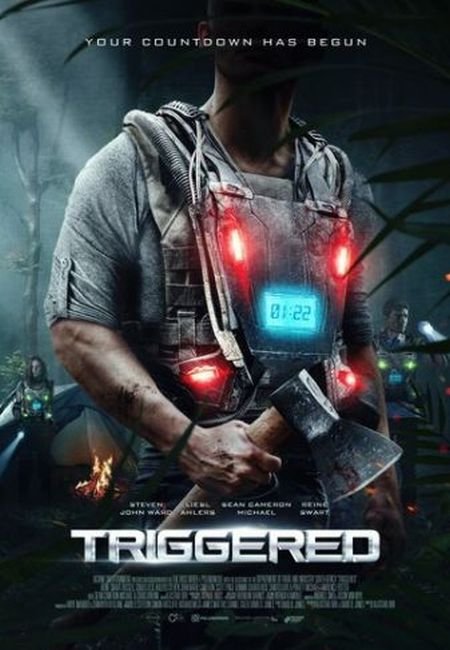   turbobit  / Triggered (2020)