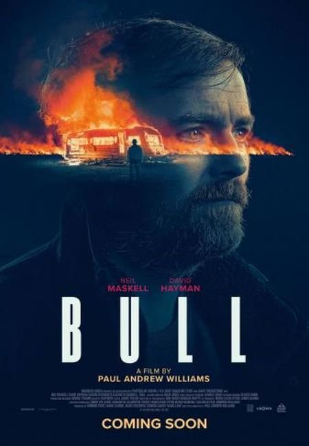   turbobit  / Bull (2021)