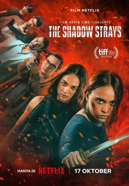   turbobit   / The Shadow Strays (2024)